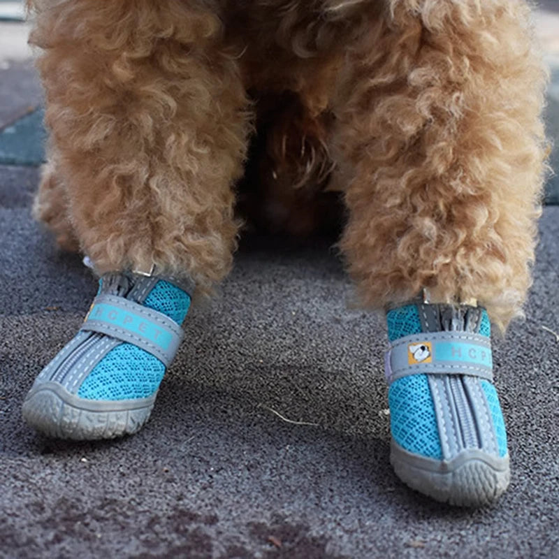 Zapatos para perro - Pavimento caliente