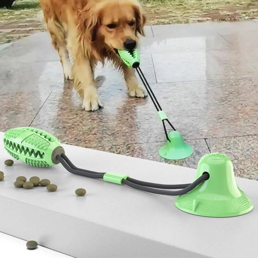 Jouet ventouse pour chien - Pull Dog