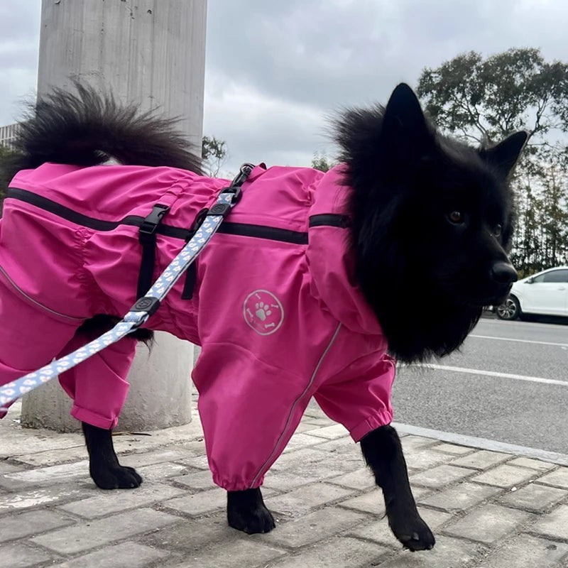 Chien noir portant une combinaison imperméable rose AventureCanine avec bandes réfléchissantes pour les promenades