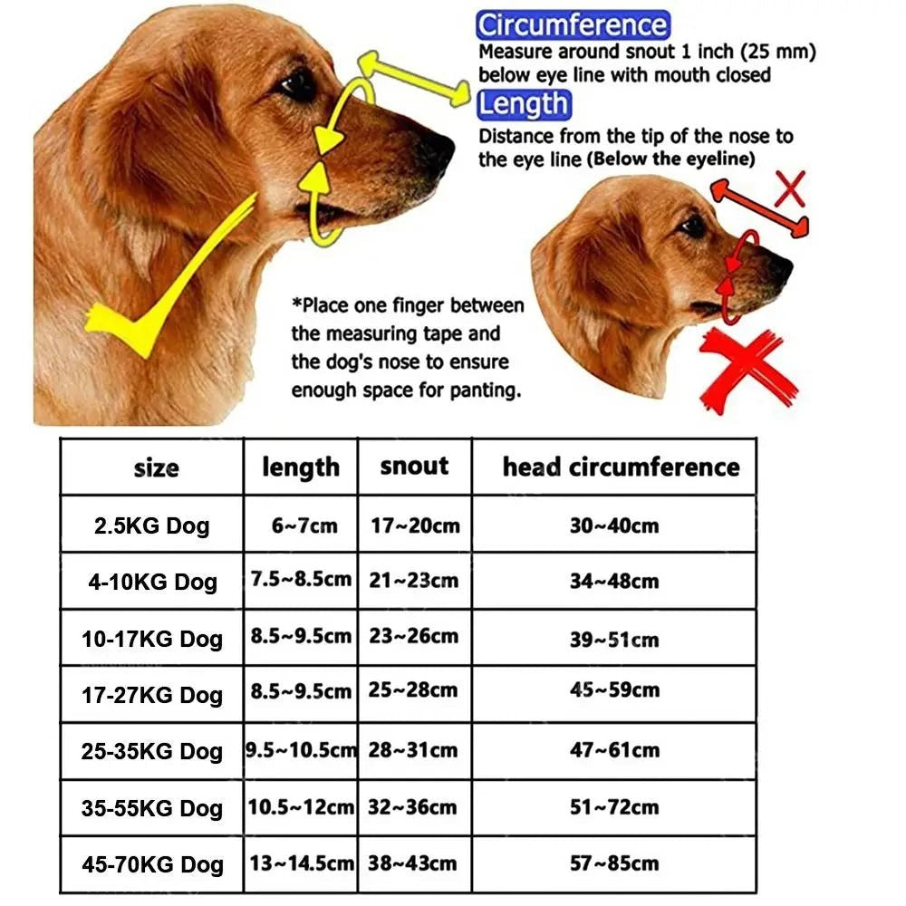 Guide de mesure AventureCanine pour muselière souple de chien avec tableau des tailles et instructions illustrées