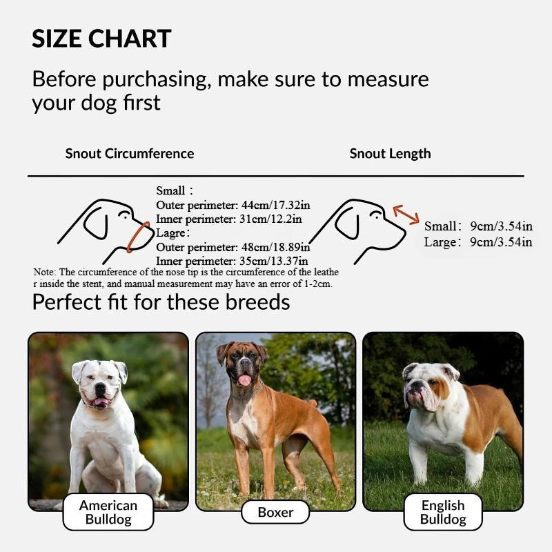 Guide des tailles AventureCanine pour muselière panier en acier inoxydable avec exemples de races de chiens