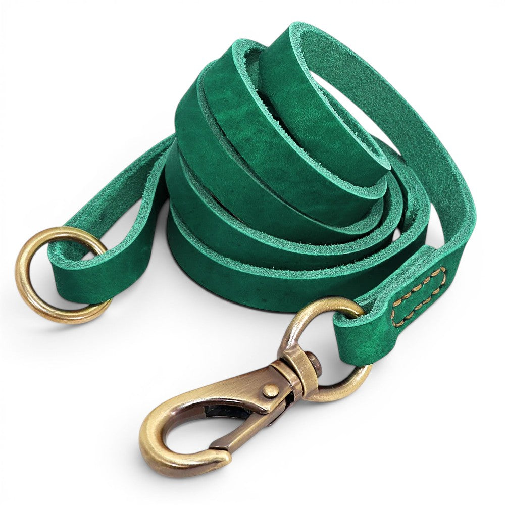 Laisse pour chien AventureCanine en cuir véritable vert souple avec mousqueton en laiton vieilli