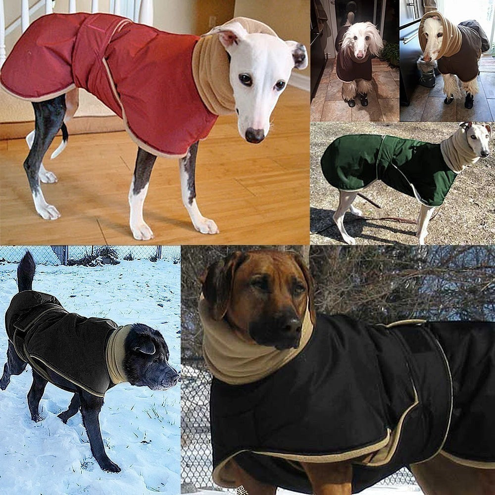 Manteau AventureCanine imperméable pour chien avec cache-cou intégré, disponible en plusieurs coloris pour l'hiver.