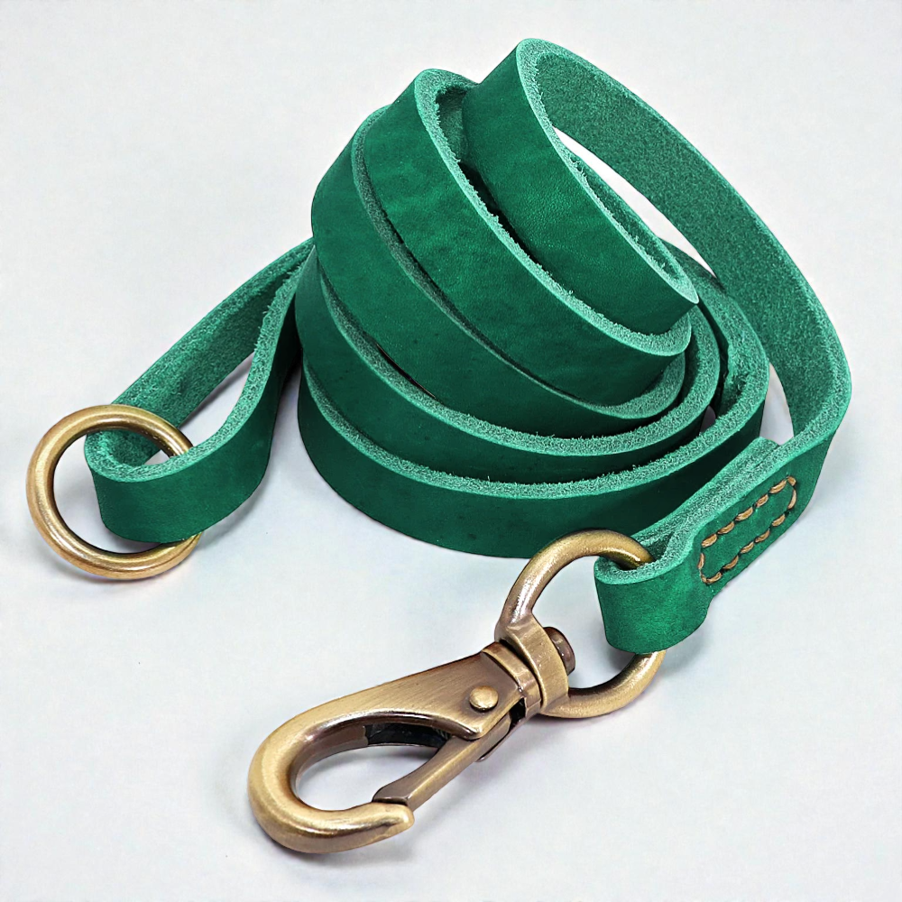 Laisse pour chien en cuir - Souple & Résistant