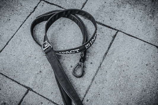 Comment choisir votre laisse (nylon, cuir ou biothane ?)