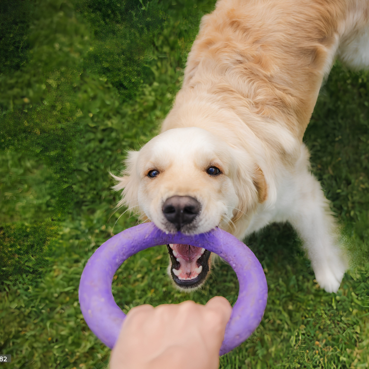 Jouets