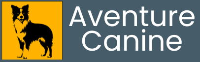 AventureCanine