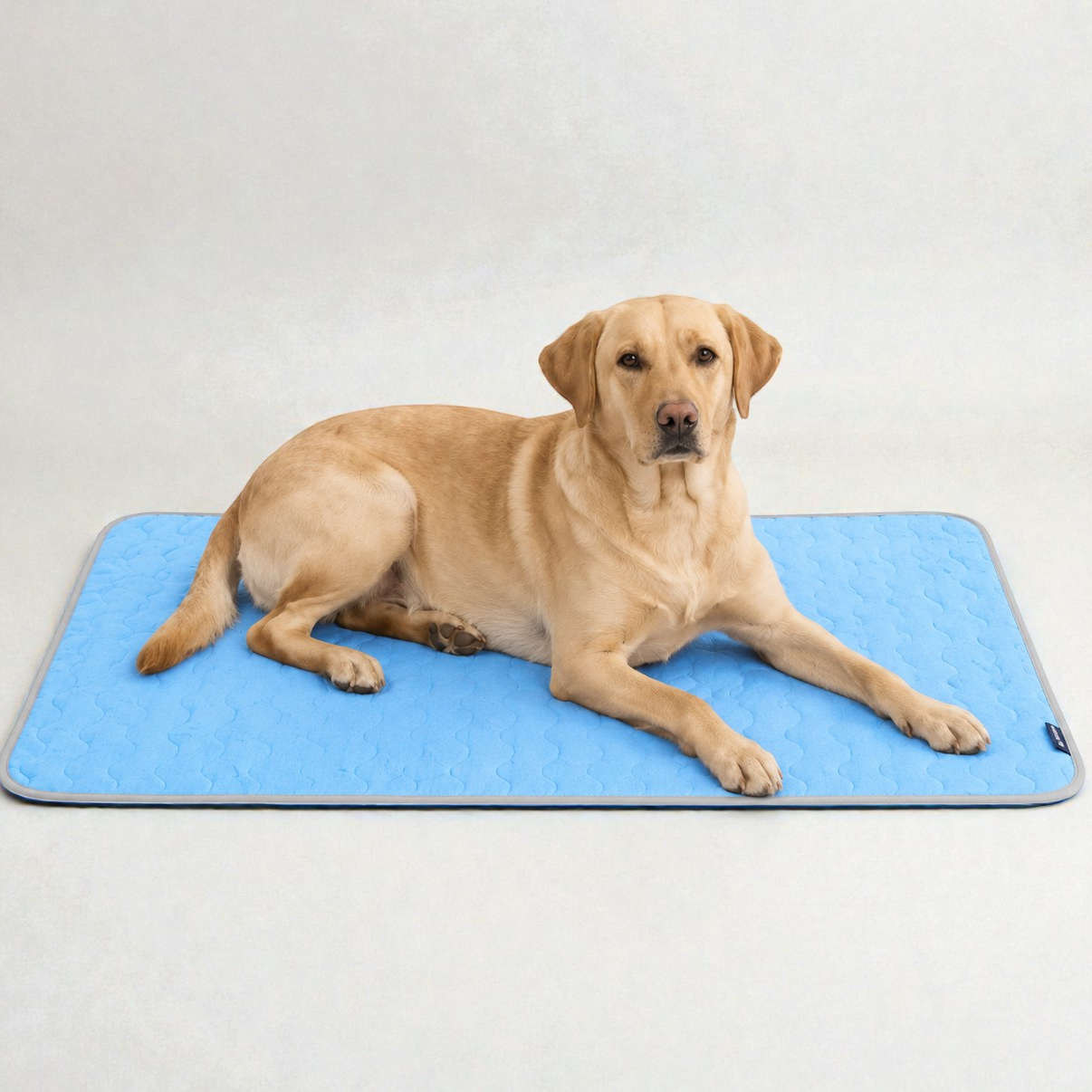 Tapis rafraîchissant pour chien - Fraîcheur d'été