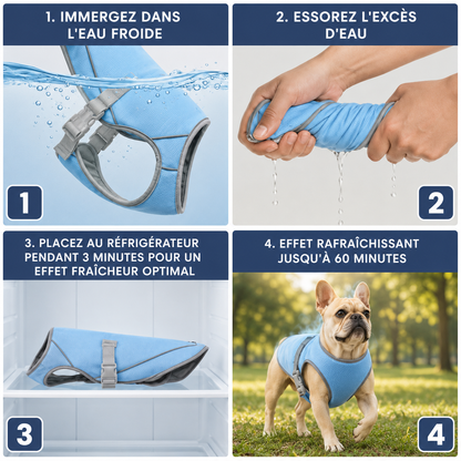 Gilet rafraîchissant pour chien - Léger et refroidissant