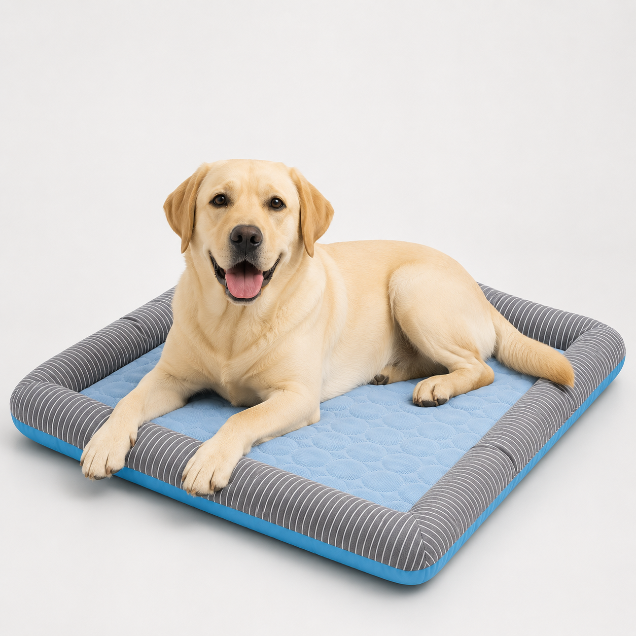 Panier rafraîchissant pour chien