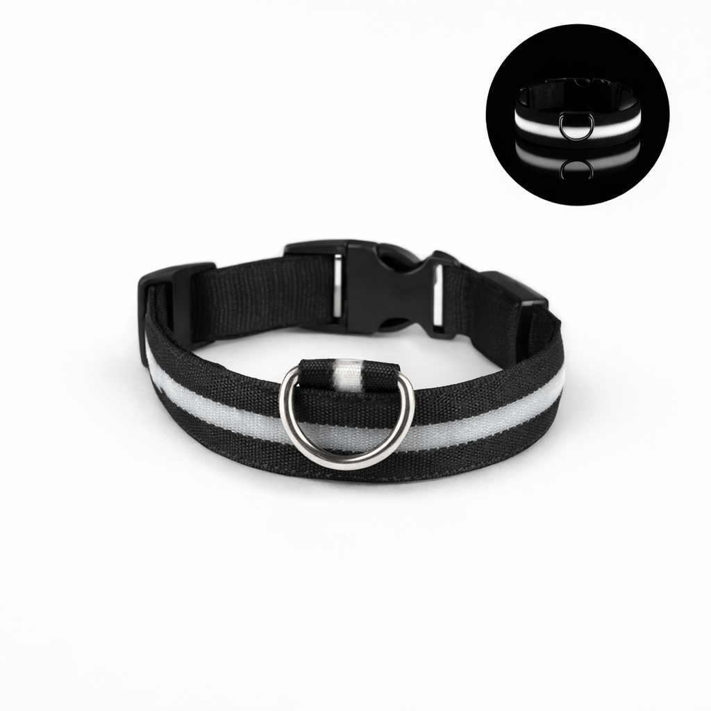 Collier Lumineux chien - Dog Safe