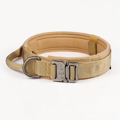 Collier tactique pour chien - Tactical Dog