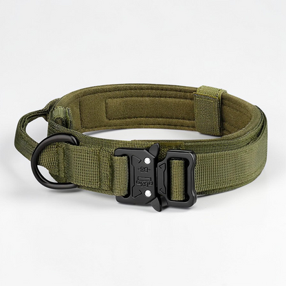 Collier tactique pour chien - Tactical Dog