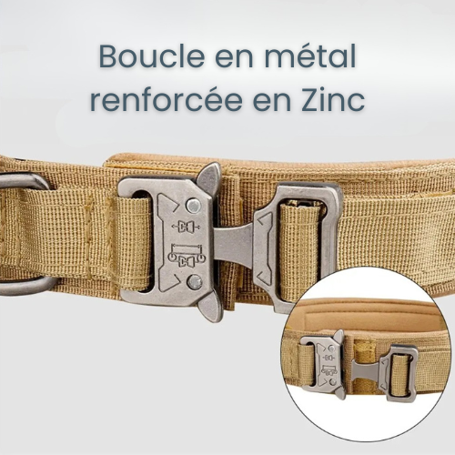 Collier tactique pour chien - Tactical Dog
