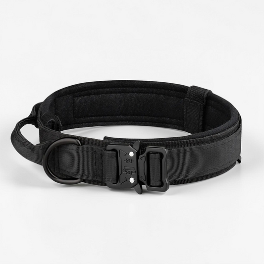 Collier tactique pour chien - Tactical Dog