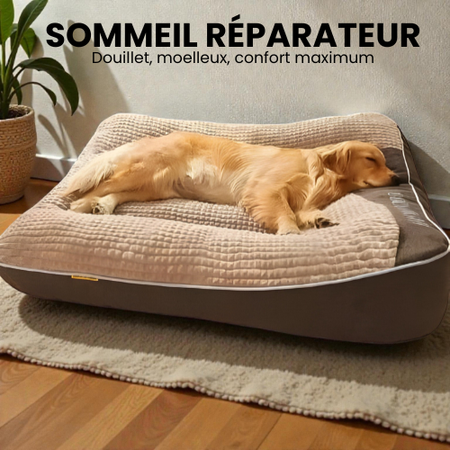 Coussin Moelleux pour Chien - Confort Max