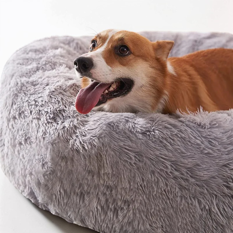 Coussin apaisant pour chien - Cocon Canin