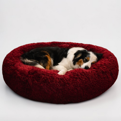 Coussin apaisant pour chien - Cocon Canin