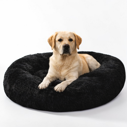 Coussin apaisant pour chien - Cocon Canin