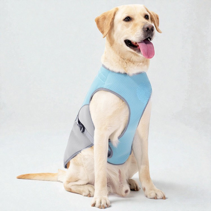 Gilet rafraîchissant pour chien - Léger et refroidissant