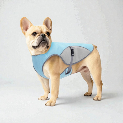 Gilet rafraîchissant pour chien - Léger et refroidissant