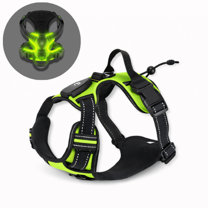 Harnais lumineux chien LED - Dog Safe