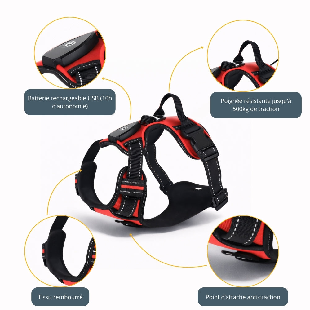 Harnais lumineux chien LED - Dog Safe