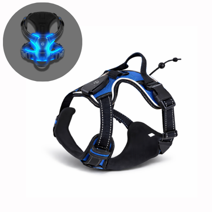 Harnais lumineux chien LED - Dog Safe