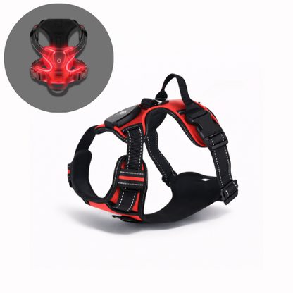 Harnais lumineux chien LED - Dog Safe