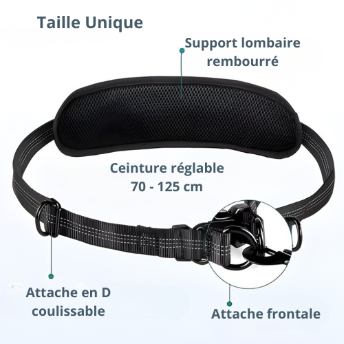 Laisse chien main libre double - Free Walk