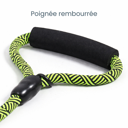 Laisse triple pour chien nylon résistant - Triple Dog