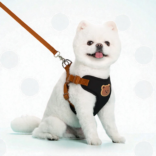 Harnais petit chien Spitz Nain