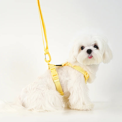 Harnais petit chien en Y - Minimaliste & Durable
