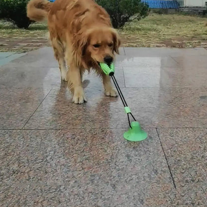 Jouet ventouse pour chien - Pull Dog