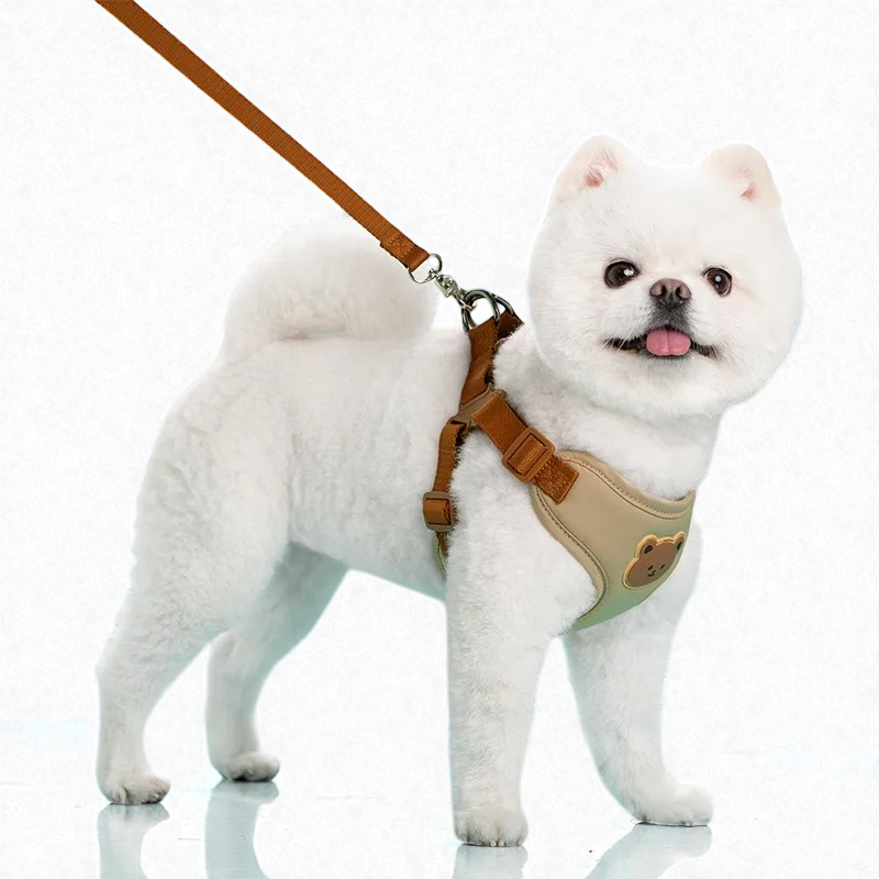 Harnais petit chien Spitz Nain
