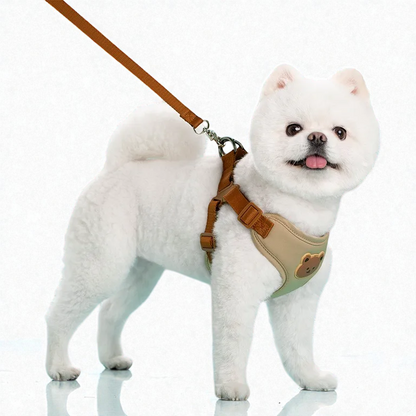 Harnais petit chien Spitz Nain