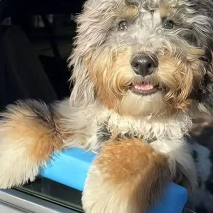Repose menton pour chien - Appuie & confort à la fenêtre