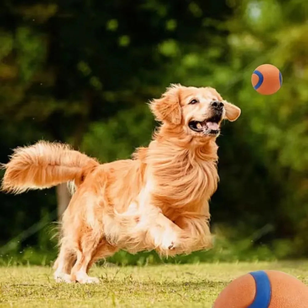 Golden Retriever courant après une balle en caoutchouc AventureCanine orange et bleue dans un parc