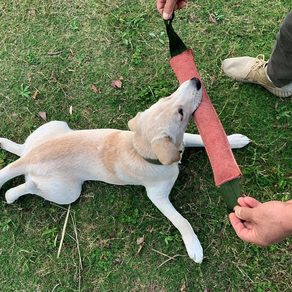 Boudin de mordant en cuir AventureCanine rouge avec poignées en nylon pour jeu de traction avec un chien sur l'herbe