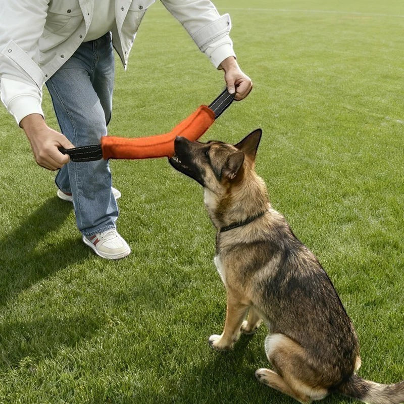 AventureCanine boudin de mordant orange en jute avec poignées pour jeu de traction avec un chien sur une pelouse