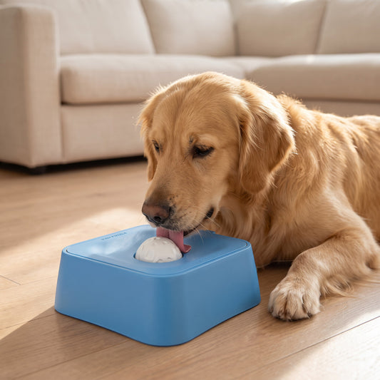 Chien Golden Retriever léchant une boule rotative AventureCanine bleue pour une alimentation lente et apaisante