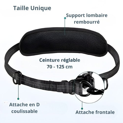 Ceinture réglable AventureCanine pour laisse main libre avec support lombaire rembourré et attaches coulissantes