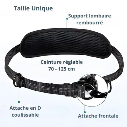 Ceinture réglable AventureCanine pour laisse main libre avec support lombaire rembourré et attaches coulissantes