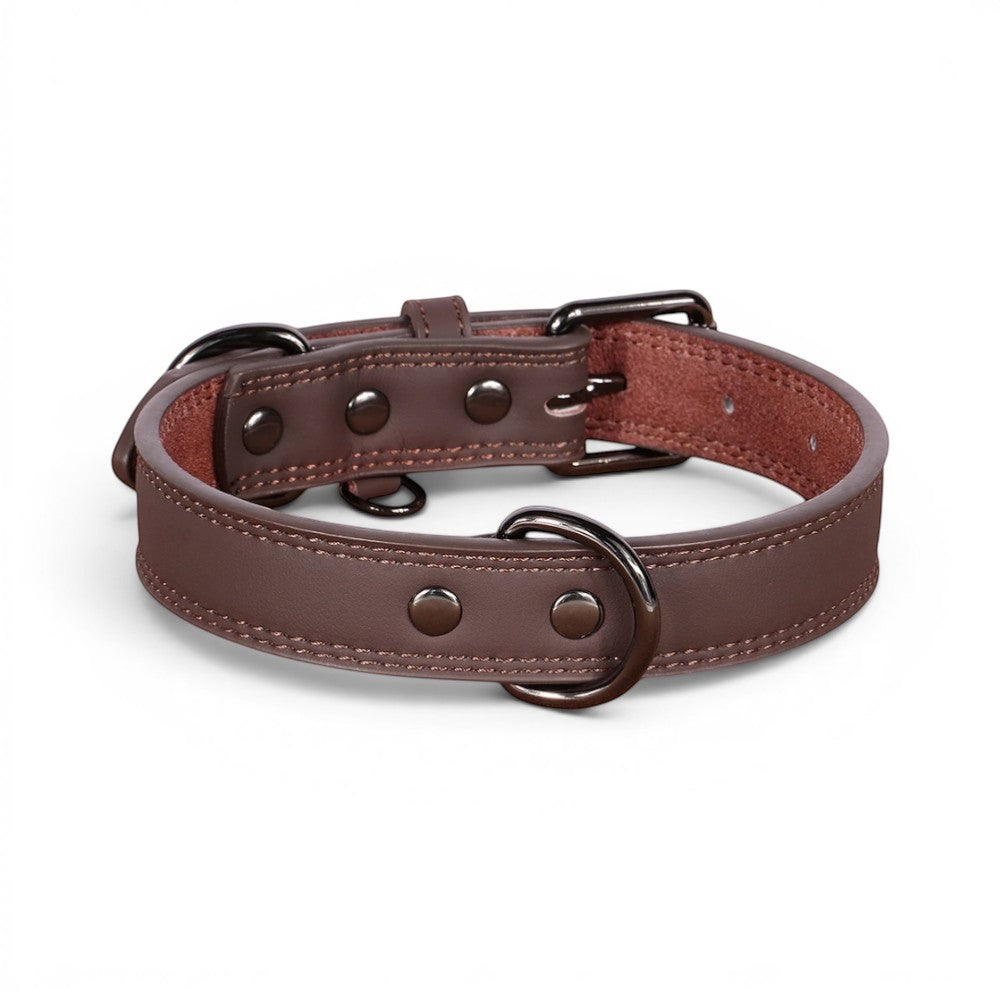 Collier pour chien AventureCanine en cuir marron véritable avec bouclerie robuste et coutures soignées