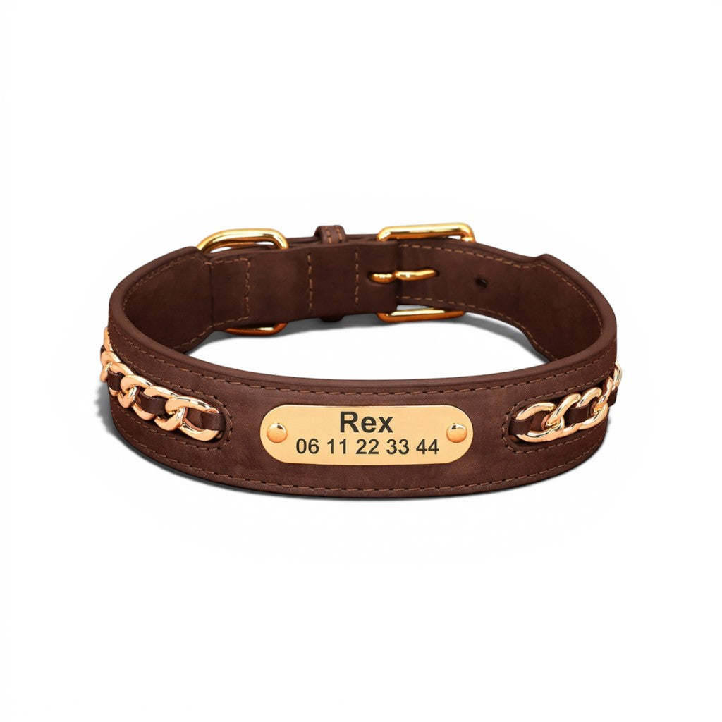 Collier pour chien AventureCanine en cuir marron avec plaque d'identification gravée et détails en chaîne dorée