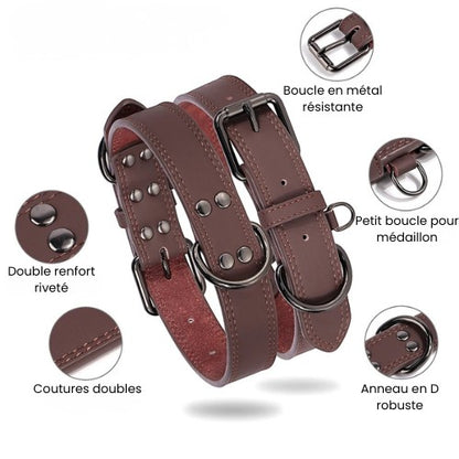 Collier pour chien AventureCanine en cuir marron avec bouclerie métallique robuste, coutures doubles et rivets