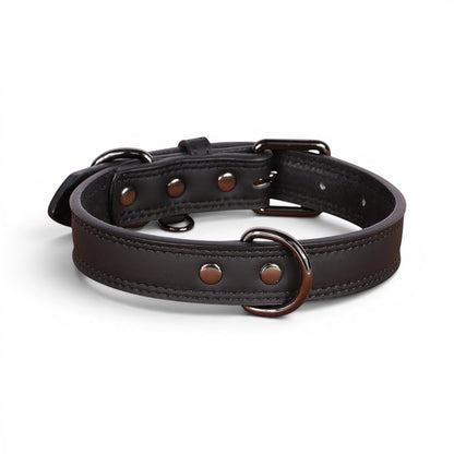 Collier pour chien AventureCanine en cuir véritable marron foncé avec bouclerie robuste et design épuré