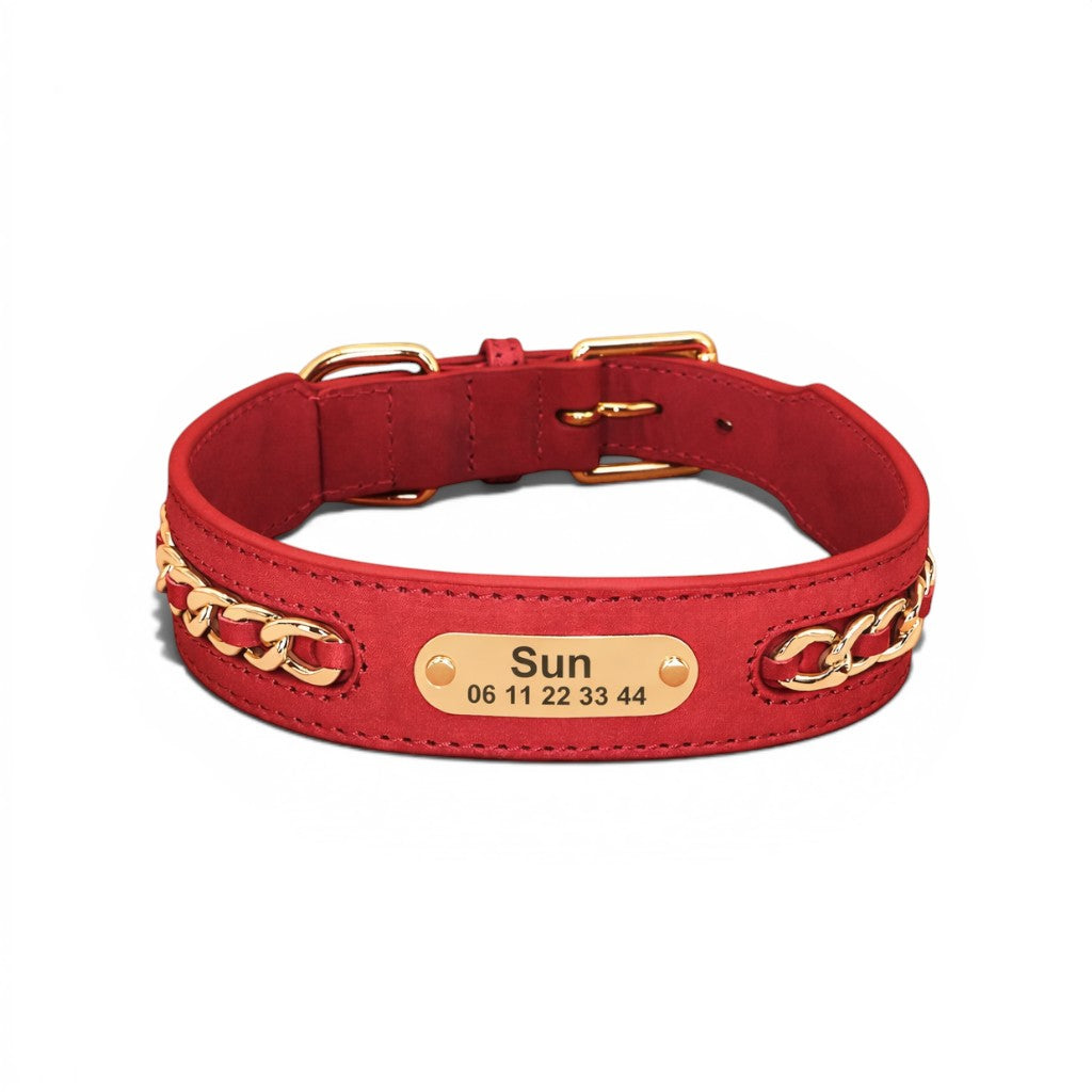 Collier pour chien AventureCanine en cuir rouge avec plaque d'identification dorée gravée et détails en chaîne