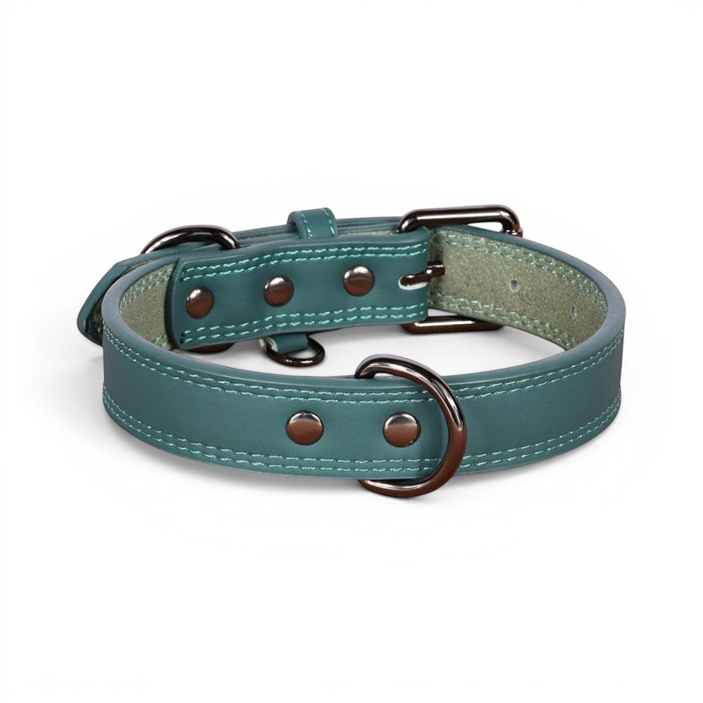 Collier pour chien AventureCanine en cuir véritable vert bleu avec bouclerie métallique robuste et coutures soignées