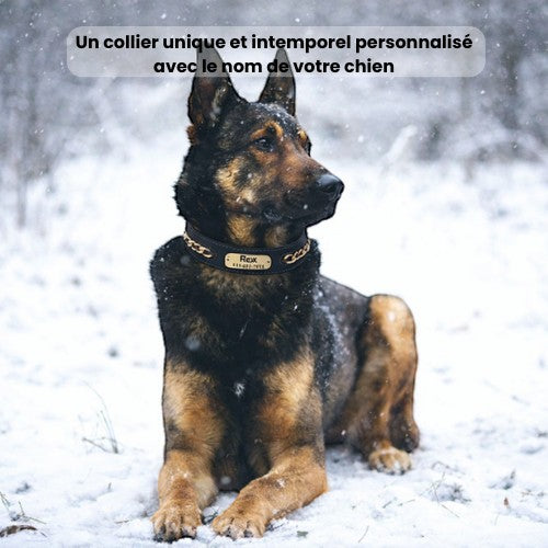 Berger allemand portant un collier en cuir noir personnalisé AventureCanine avec plaque gravée dans un décor enneigé